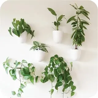 PlantPod Luxe - Self-Watering Wall Planters (Set of 6) - Easy to Water a...