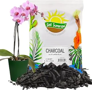 Horticultural Charcoal for Indoor Plants (4 Quarts), Hardwood Soil Addit...