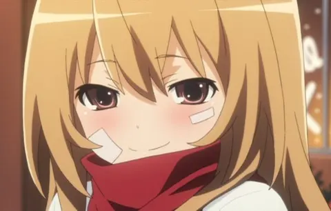 taiga aisaka ( toradora) 36 cute anime characters