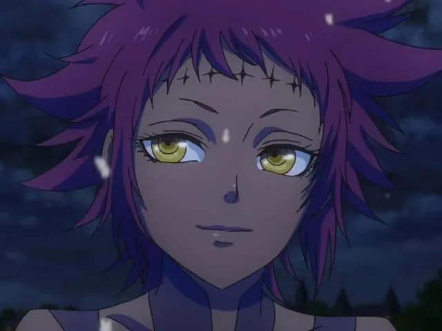 road kamelot d.gray man black clover anime girls with purple hair