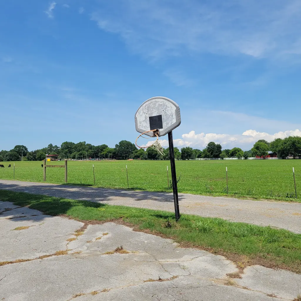 A basketball hoop beside a cracked road.